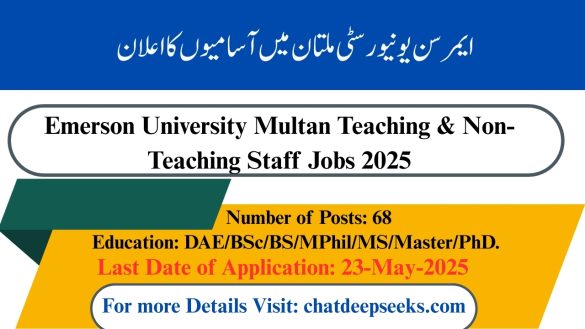 Emerson University Multan Jobs 2025