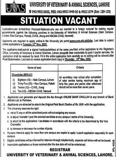 University of Veterinary & Animal Sciences Lahore Non Teaching Staff Jobs 2025